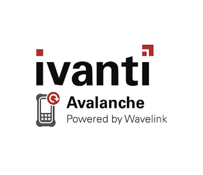 WAVELINK 310-SUB-AVRC10 Professionele dienst