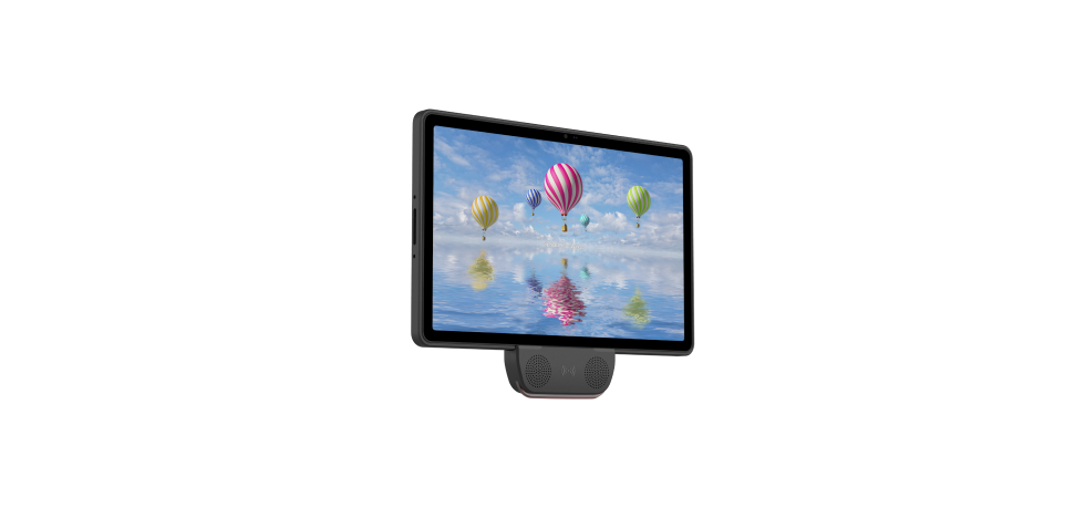 BLUEBIRD BVPA-T10KBB-3Y-01NN0 Professionele dienst