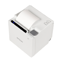 EPSON CP04RTBSCE74 Professionele dienst